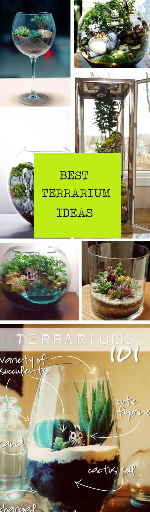 Terrarium Decor Ideas