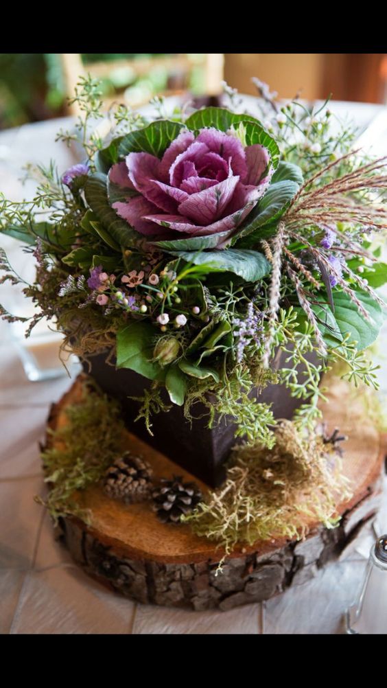 Succulent and Raw Wood Centerpiece