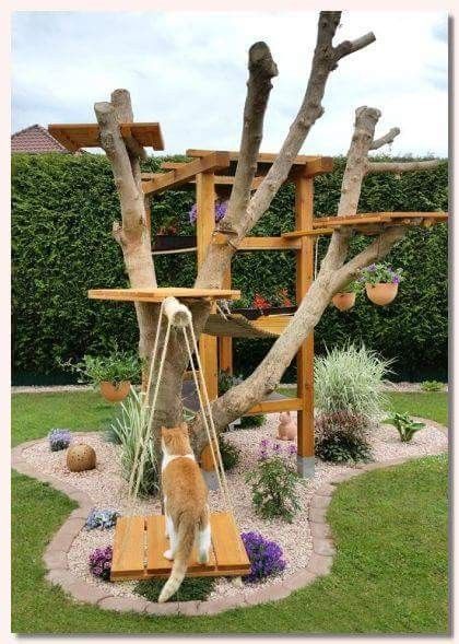 How to Make an Outdoor Cat Playground